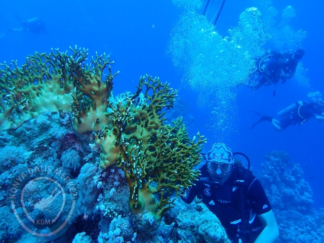 13-18 Mayıs Sharm