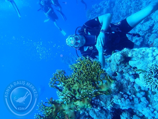 13-18 Mayıs Sharm