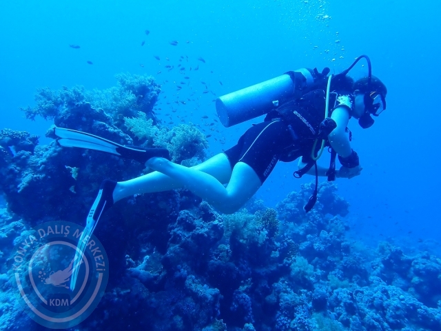 13-18 Mayıs Sharm