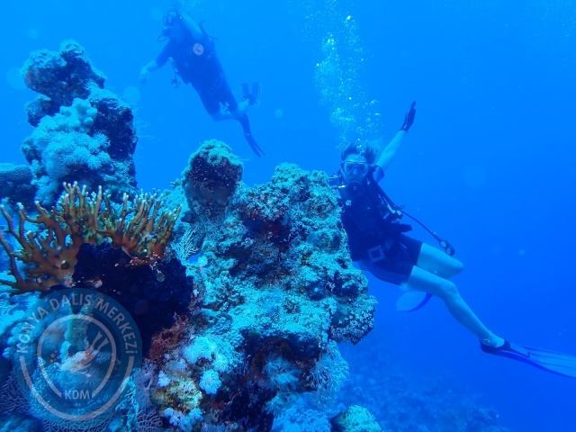 13-18 Mayıs Sharm