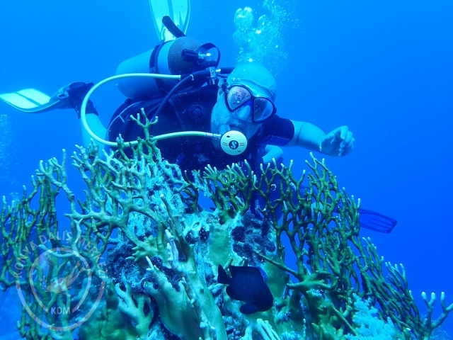 13-18 Mayıs Sharm
