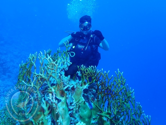 13-18 Mayıs Sharm