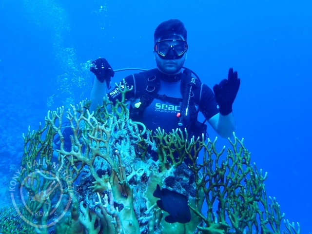 13-18 Mayıs Sharm