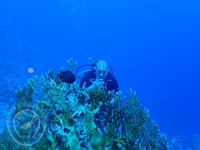 13-18 Mayıs Sharm