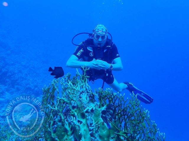 13-18 Mayıs Sharm