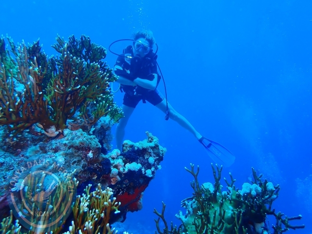 13-18 Mayıs Sharm