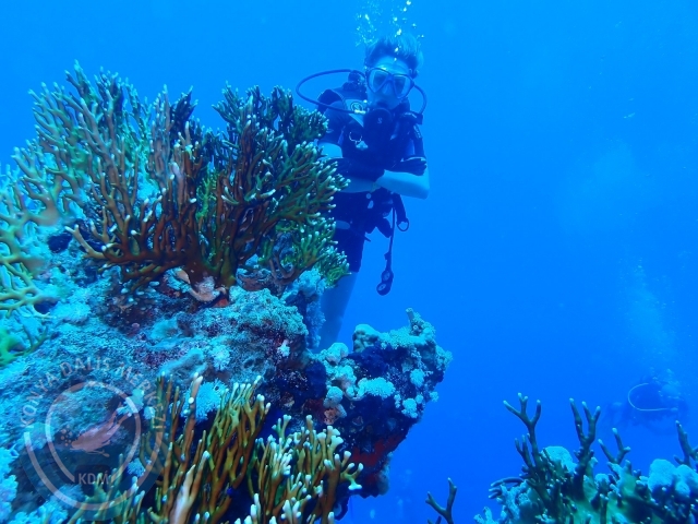 13-18 Mayıs Sharm