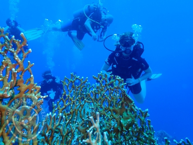 13-18 Mayıs Sharm