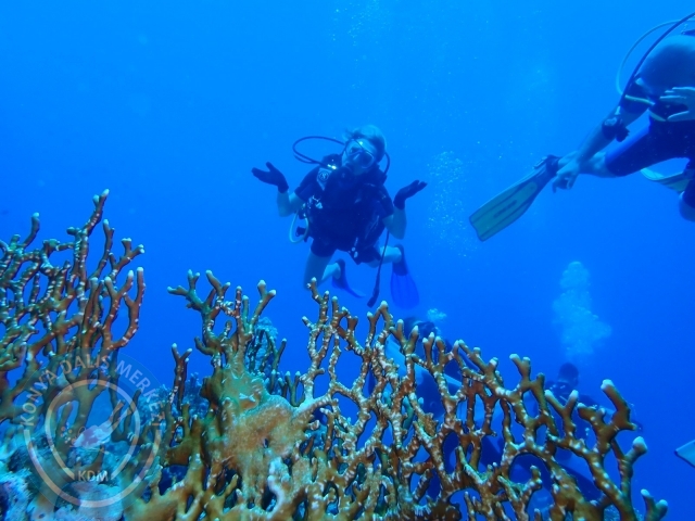 13-18 Mayıs Sharm