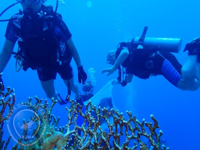 13-18 Mayıs Sharm
