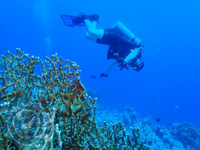 13-18 Mayıs Sharm