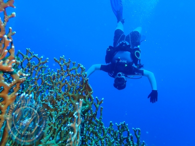13-18 Mayıs Sharm