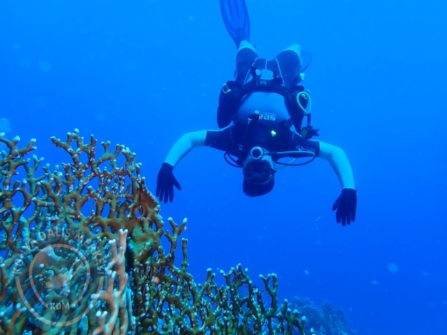 13-18 Mayıs Sharm