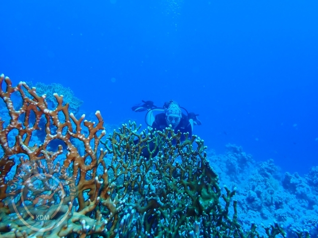13-18 Mayıs Sharm