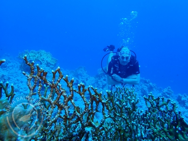 13-18 Mayıs Sharm