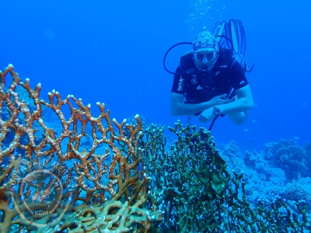 13-18 Mayıs Sharm