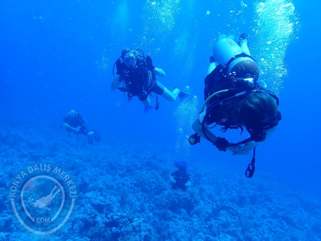 13-18 Mayıs Sharm