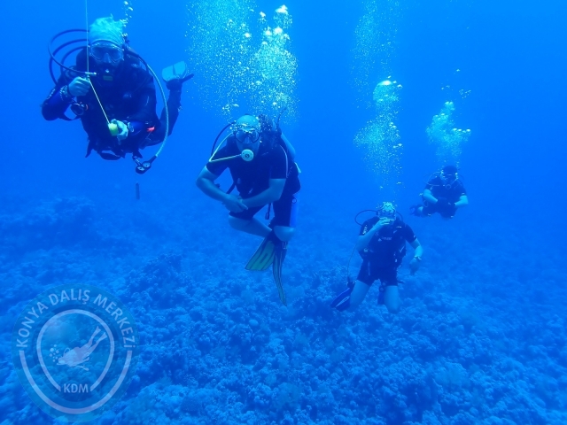 13-18 Mayıs Sharm
