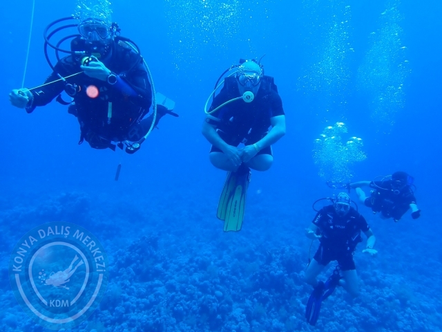 13-18 Mayıs Sharm