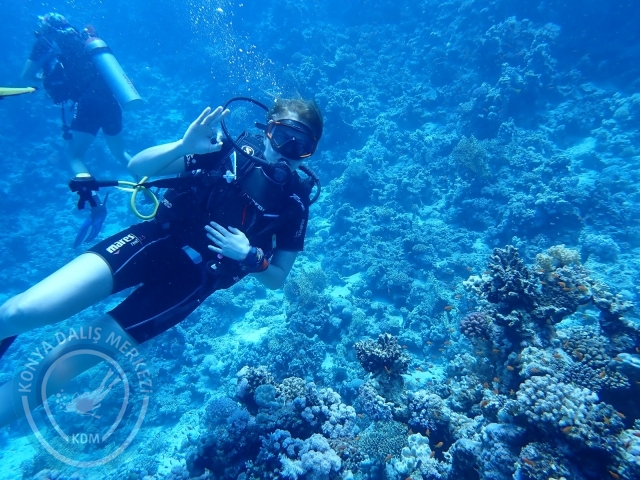 13-18 Mayıs Sharm