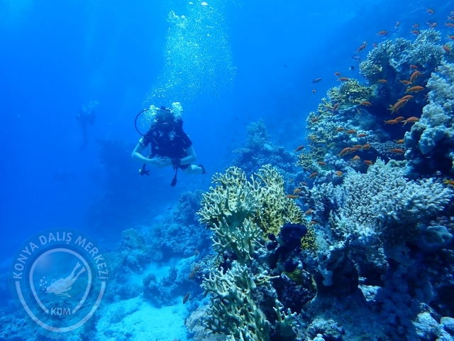13-18 Mayıs Sharm