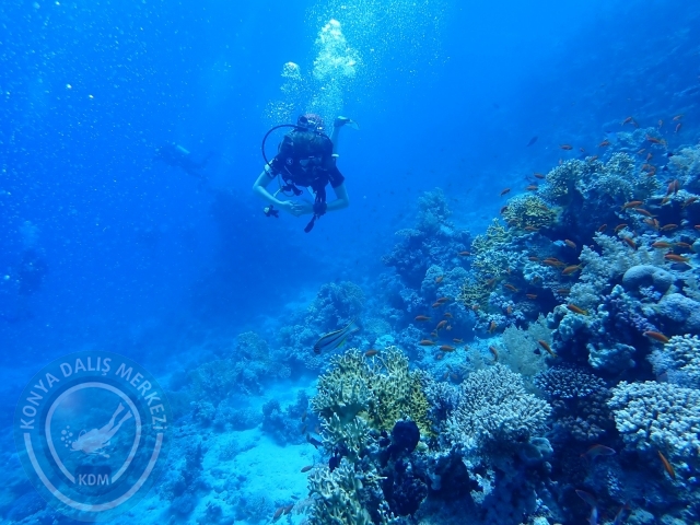 13-18 Mayıs Sharm