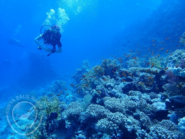 13-18 Mayıs Sharm