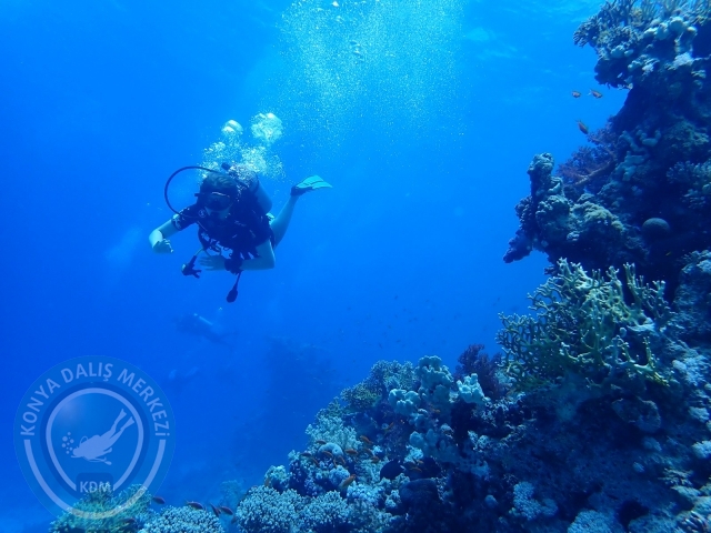 13-18 Mayıs Sharm