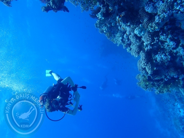 13-18 Mayıs Sharm