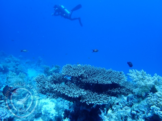 13-18 Mayıs Sharm