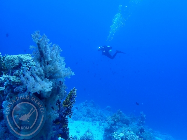 13-18 Mayıs Sharm