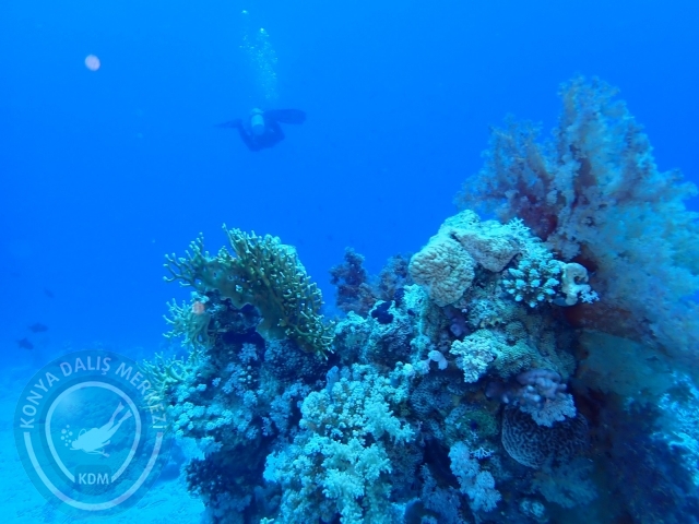 13-18 Mayıs Sharm