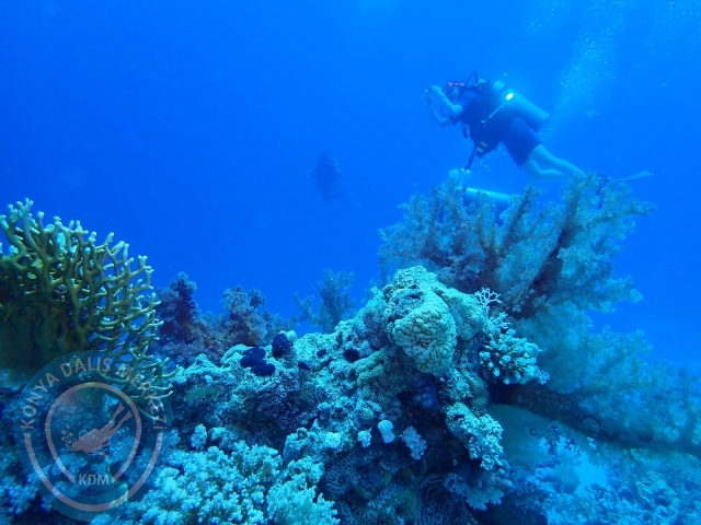 13-18 Mayıs Sharm