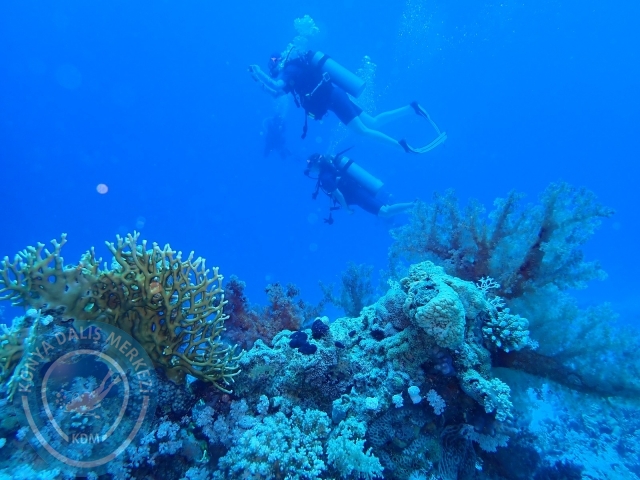 13-18 Mayıs Sharm