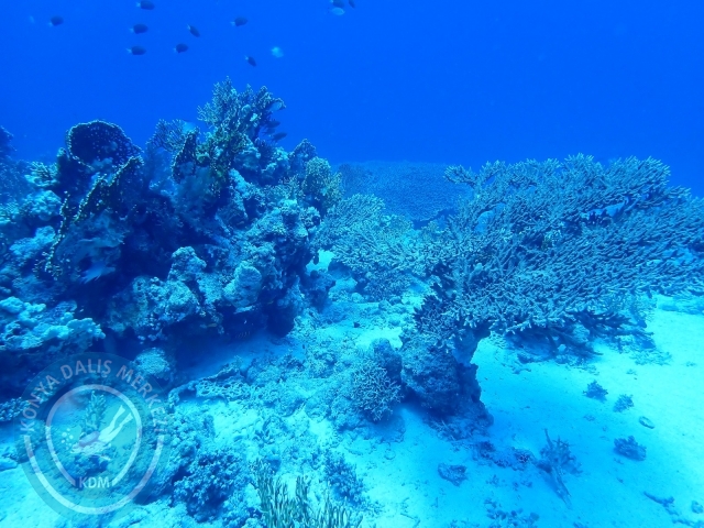 13-18 Mayıs Sharm