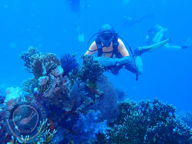13-18 Mayıs Sharm