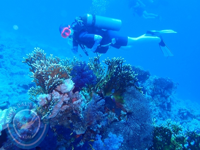 13-18 Mayıs Sharm