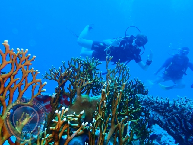 13-18 Mayıs Sharm