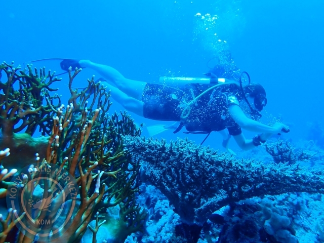 13-18 Mayıs Sharm