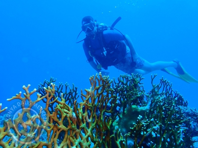 13-18 Mayıs Sharm