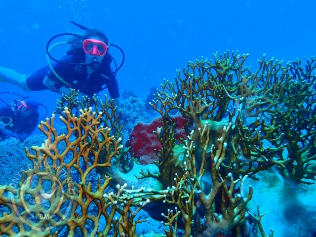 13-18 Mayıs Sharm