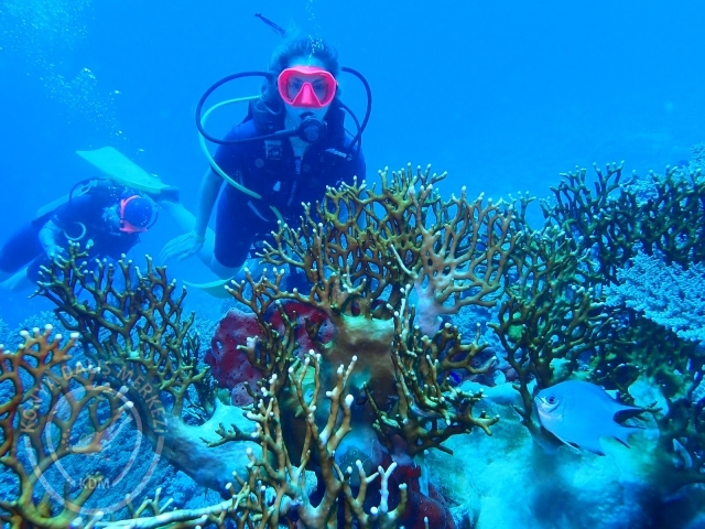 13-18 Mayıs Sharm
