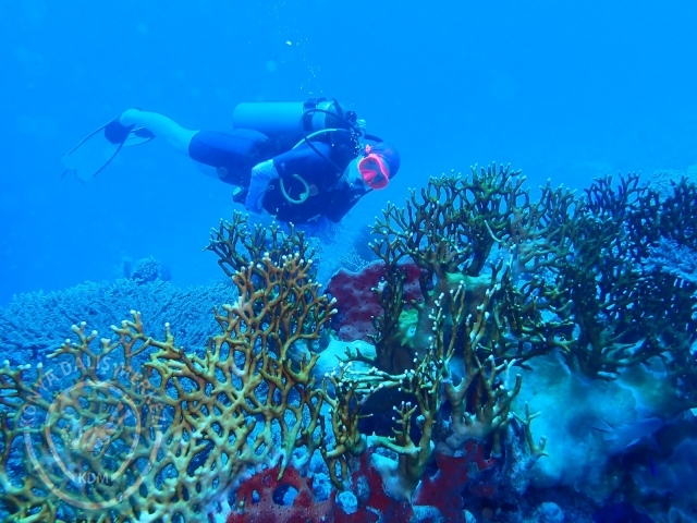 13-18 Mayıs Sharm