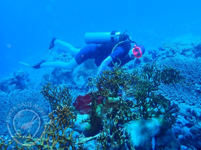 13-18 Mayıs Sharm