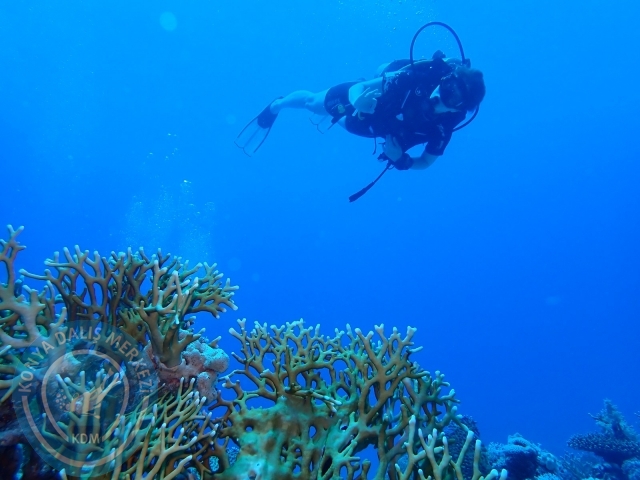 13-18 Mayıs Sharm