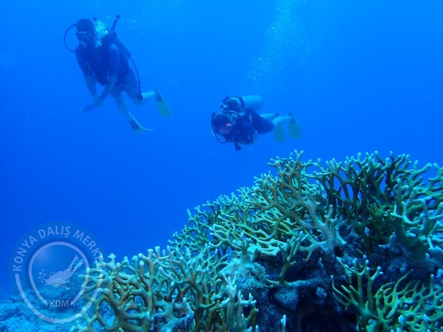13-18 Mayıs Sharm