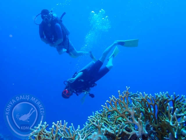 13-18 Mayıs Sharm