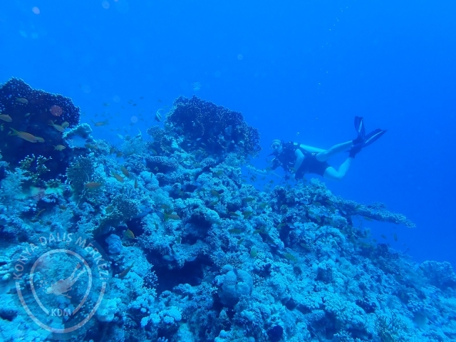 13-18 Mayıs Sharm