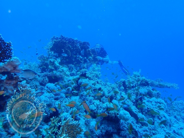 13-18 Mayıs Sharm