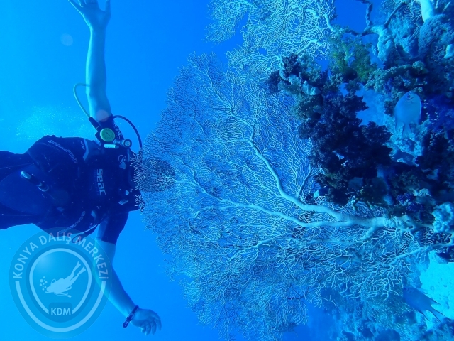 13-18 Mayıs Sharm